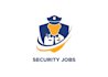 design a professional security and protection logo