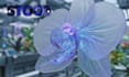 do high end ai visual engineering and custom prompt design
