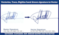 vector trace, digitize, and redraw your hand drawn signature