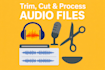 trim, clip, and process your audio files using audacity