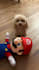 create authentic and natural video for pet brands