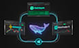 build a custom solana sniper bot telegram copy trading bot and whale tracker
