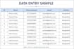 data entry copy paste web research
