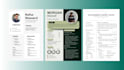 write an ats optimized resume, CV, cover letter and linkedin summary