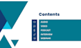 provide professional audio and video transcription services