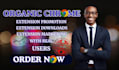 chrome extension promotion, chrome download, browser extension for real users