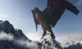 create 3d animal model, texture, rigging with xgen hair and 3d animal animation