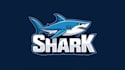 make an amazing angry shark logo with express delivery