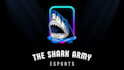 do modern minimalist professional shark logo design