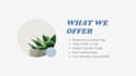 landing page design using html,css