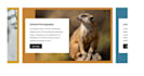 build custom duda widgets, dynamic features and API integrations