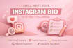 write a professional instagram bio that attracts followers