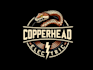 do high quality amazing electric logo