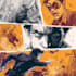 comic book illustration with comic book illustrator