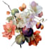 make a fabulous botanical fruit plant illustration