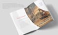 design a professional capability statement