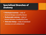 design amazing presentation slides,university,slides