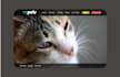 do the design of your webpage