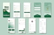 design mobile app and websites UI