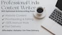 write professional urdu content and essays