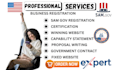 write professional rfp rfq and tender proposals