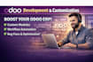 develop and customize odoo modules for your business