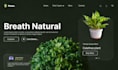 convert figma designs to wordpress websites