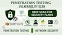 perform website penetration testing and vulnerability assessment