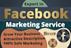 provide organic facebook page promotion