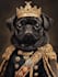 design custom pet portrait