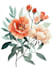 line art illustrations, botanical flowers, plants