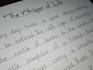 do neat handwritten assignments and copy typing