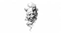 create an individual tattoo sketch for you