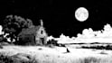 draw black and white illustrations