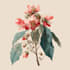 draw a botanical illustration