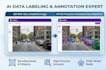 do accurate image annotation and data labeling using roboflow
