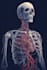 do winner professional medical and exercise illustrations