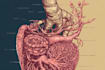 create medical and scientific illustrations