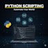 excel CSV python automation
