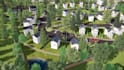 render architectural house 3d exterior, tiny homes design, community landscaping