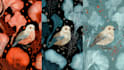 create pattern design for textile fabrics print