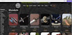 design a professional website with hosting and domain