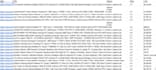 do browser automation using playwright or automa