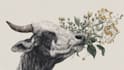 draw an animal and botanical illustration