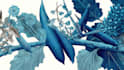 illustrate best botanical illustration