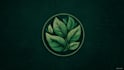 design modern botanical boho logo design with branding