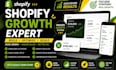 do shopify marketing shopify promotion ecommerce marketing boost shopify sales