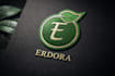 design professional brand logo
