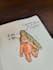 draw free hand illustrations for children book