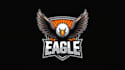 design super flying eagle logo with express delivery